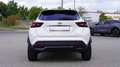 Nissan Juke 1.0 DIG-T N-Design LED ACC 360° Alcantara Blanco - thumbnail 7