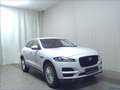 Jaguar F-Pace 30D AWD Prestige Navi HuD AHK DigiTacho Weiß - thumbnail 3