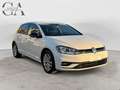 Volkswagen Golf Golf 5p 1.6 tdi Business 115cv - thumbnail 3