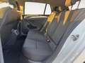 Volkswagen Golf Golf 5p 1.6 tdi Business 115cv - thumbnail 14