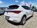 SEAT Leon Road Edition 150 DSG SHZ VisionPlus Weiß - thumbnail 3