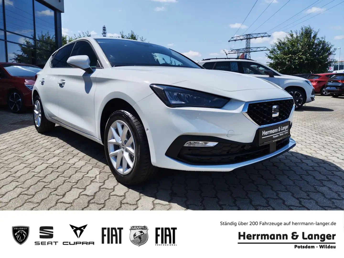 SEAT Leon Road Edition 150 DSG SHZ VisionPlus Weiß - 1