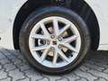 SEAT Leon Road Edition 150 DSG SHZ VisionPlus Weiß - thumbnail 5