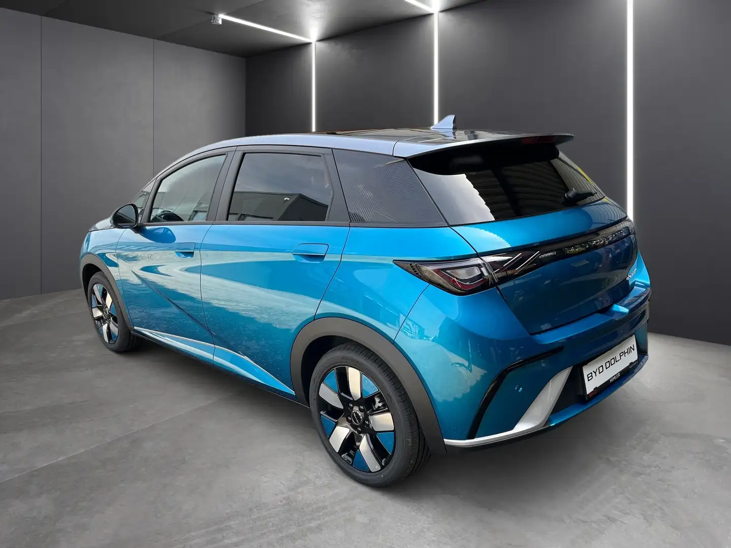 BYD Dolphin Design Albastru - 2