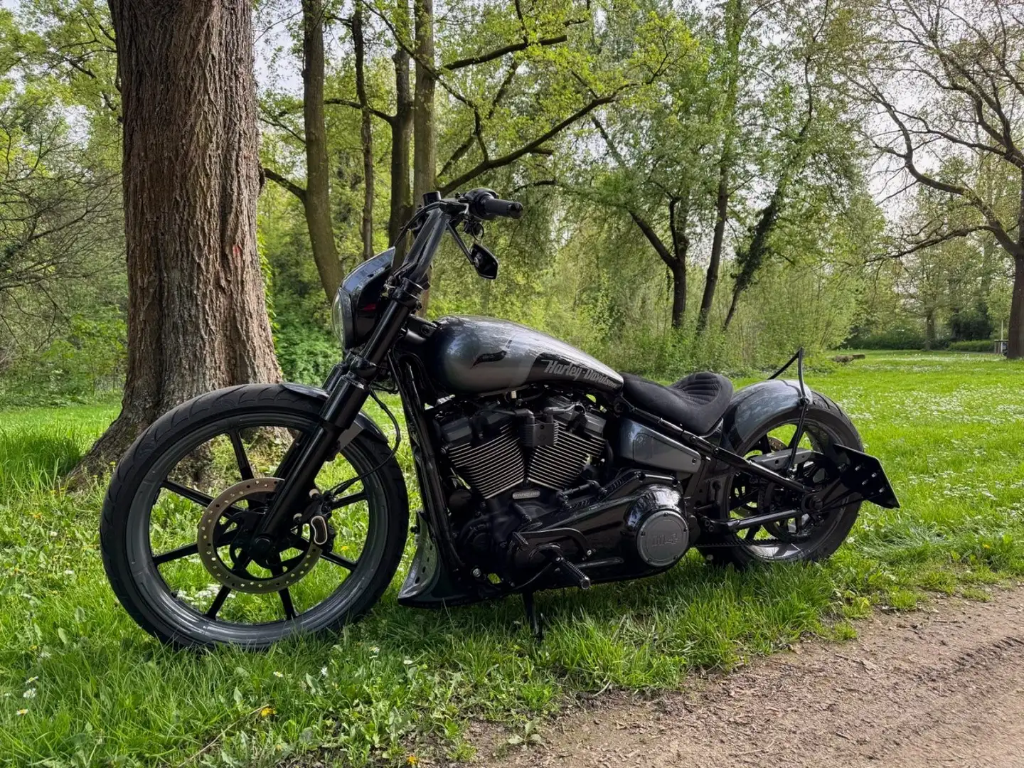 Harley-Davidson Street Bob Custom Schwarz - 2