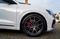 Audi Q8 55 TFSI e Quattro Pro Line S | Bang&Olufsen | BTW Weiß - thumbnail 15