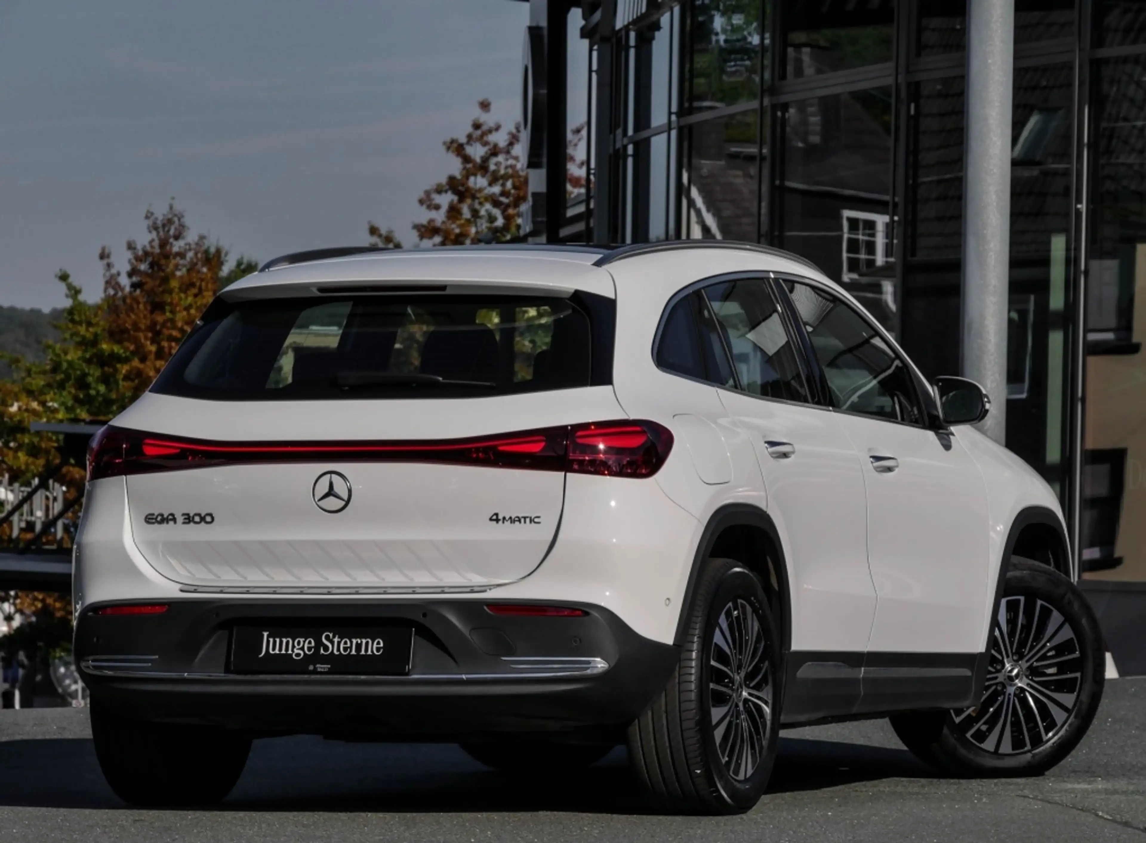 Mercedes-Benz EQA 300 4M Electr-Art/Pano/Keyl/Amb/Cam/LED/Totw — photo 3