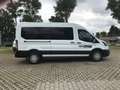 Ford Transit Trend 350 L3+PDC+RFK+NSW+Klima+DAB+Temp. Blanco - thumbnail 4
