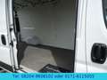 Opel Movano Cargo L4H2  Klima/Kamera/AHK/Temp./165PS Weiß - thumbnail 10