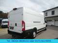Opel Movano Cargo L4H2  Klima/Kamera/AHK/Temp./165PS Weiß - thumbnail 8
