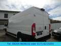 Opel Movano Cargo L4H2  Klima/Kamera/AHK/Temp./165PS Weiß - thumbnail 5