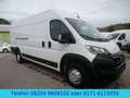 Opel Movano Cargo L4H2  Klima/Kamera/AHK/Temp./165PS Weiß - thumbnail 1