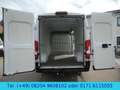 Opel Movano Cargo L4H2  Klima/Kamera/AHK/Temp./165PS Weiß - thumbnail 9