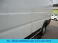 Opel Movano Cargo L4H2  Klima/Kamera/AHK/Temp./165PS Weiß - thumbnail 13
