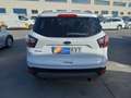 Ford Kuga 1.5 EcoB. Auto S&S Trend 4x2 120 Blanco - thumbnail 8