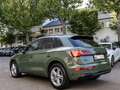 Audi Q5 40 TDI qu S line Matrix Massage virtCo Kamera Grün - thumbnail 15