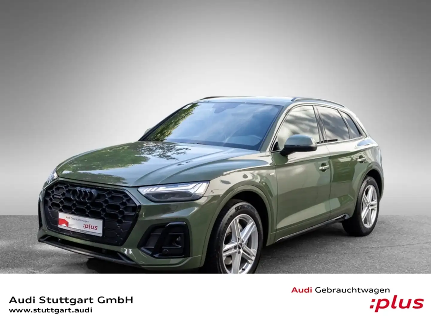 Audi Q5 40 TDI qu S line Matrix Massage virtCo Kamera Grün - 1