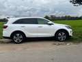 Kia Sorento Sorento 2.2 CRDi 2WD Aut. Edition 7 - thumbnail 3