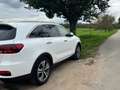 Kia Sorento Sorento 2.2 CRDi 2WD Aut. Edition 7 - thumbnail 2
