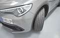 Alfa Romeo Stelvio 2.2 Executive Q4 210 Aut. Gris - thumbnail 47