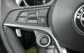 Alfa Romeo Stelvio 2.2 Executive Q4 210 Aut. Gris - thumbnail 13
