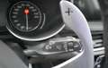 Alfa Romeo Stelvio 2.2 Executive Q4 210 Aut. Gris - thumbnail 12