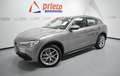 Alfa Romeo Stelvio 2.2 Executive Q4 210 Aut. Gris - thumbnail 1