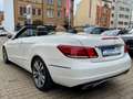 Mercedes-Benz E 200 CABRIO SPORT*19%*AUTO*NAV*LED*AIRSCARF*2SH Weiß - thumbnail 11