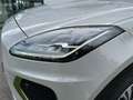 Jaguar E-Pace P300e ch PHEV AWD BVA R-Dynamic S Or - thumbnail 28