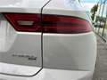 Jaguar E-Pace P300e ch PHEV AWD BVA R-Dynamic S Or - thumbnail 31