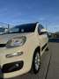 Fiat Panda 1,2 69 Lounge - thumbnail 6