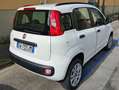 Fiat Panda Panda III 0.9 t.air t. natural power Pop 80cv Blanco - thumbnail 12