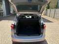Ford C-Max C-Max 2.0 TDCi 163CV Powershift Titanium Business Argento - thumbnail 9