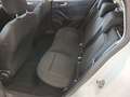 Ford Focus Turnier 1,5 EcoBlue Titanium Aut. Weiß - thumbnail 6