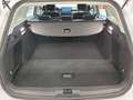 Ford Focus Turnier 1,5 EcoBlue Titanium Aut. Weiß - thumbnail 5