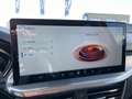 Ford Focus 1.0 Flexifuel mHEV 125ch Titanium X Business Powershift Rouge - thumbnail 20