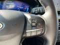 Ford Focus 1.0 Flexifuel mHEV 125ch Titanium X Business Powershift Rouge - thumbnail 14