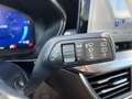 Ford Focus 1.0 Flexifuel mHEV 125ch Titanium X Business Powershift Rouge - thumbnail 16