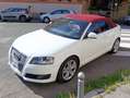 Audi A3 A3 II 2008 Cabriolet Cabrio 2.0 tdi Attraction Bianco - thumbnail 10