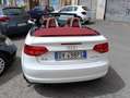 Audi A3 A3 II 2008 Cabriolet Cabrio 2.0 tdi Attraction Bianco - thumbnail 2