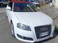 Audi A3 A3 II 2008 Cabriolet Cabrio 2.0 tdi Attraction Bianco - thumbnail 9