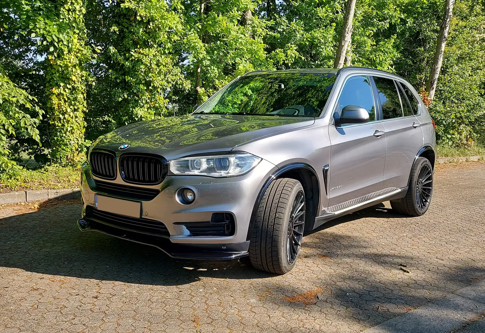 BMW X5 X5 xDrive25d Gris - 2
