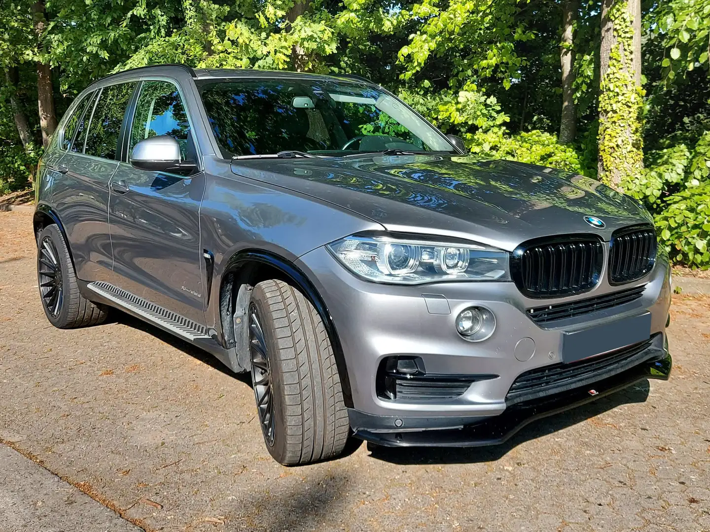 BMW X5 X5 xDrive25d Gris - 1