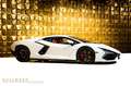 Lamborghini Revuelto +CARBON FIBRE+PASSENGER DISPLAY+STOCK+ Blanc - thumbnail 3