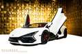 Lamborghini Revuelto +CARBON FIBRE+PASSENGER DISPLAY+STOCK+ Blanc - thumbnail 5