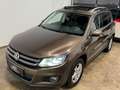 Volkswagen Tiguan Sky 2.0 TDI 4Motion | ALLRAD | AHK | LED-XENON | Braun - thumbnail 5