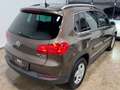 Volkswagen Tiguan Sky 2.0 TDI 4Motion | ALLRAD | AHK | LED-XENON | Braun - thumbnail 14