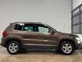 Volkswagen Tiguan Sky 2.0 TDI 4Motion | ALLRAD | AHK | LED-XENON | Braun - thumbnail 7