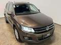 Volkswagen Tiguan Sky 2.0 TDI 4Motion | ALLRAD | AHK | LED-XENON | Braun - thumbnail 2