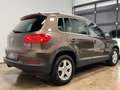Volkswagen Tiguan Sky 2.0 TDI 4Motion | ALLRAD | AHK | LED-XENON | Braun - thumbnail 13